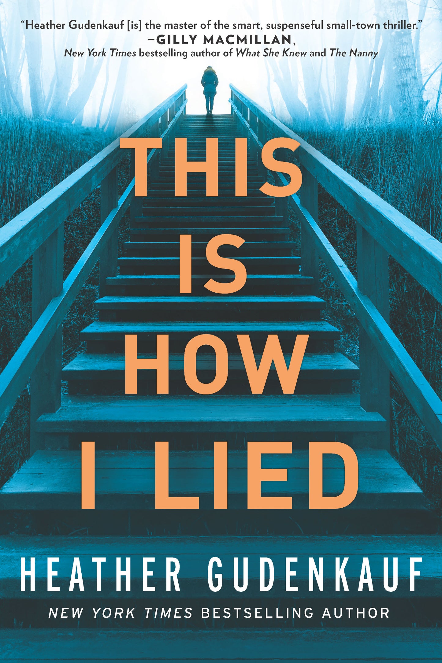 This Is How I Lied: A Novel
Book by Heather Gudenkauf