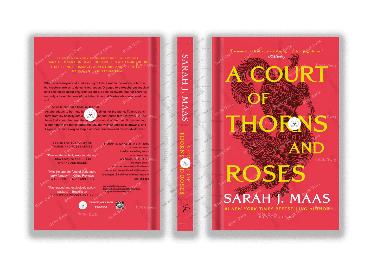 A Court of Thorns and Roses Book by Sarah J. Maas